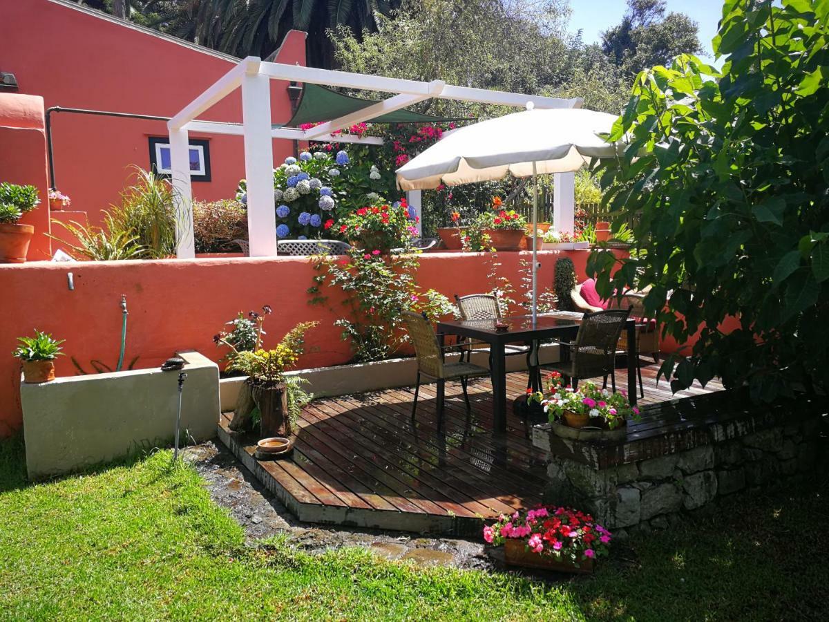 Jardines de Hortensia - Vacation home Tenerife La Laguna  Exterior foto